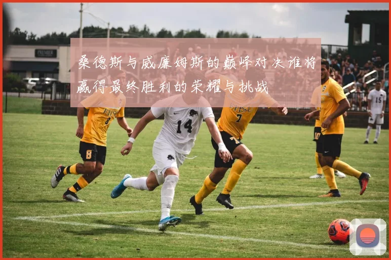 桑德斯与威廉姆斯的巅峰对决谁将赢得最终胜利的荣耀与挑战