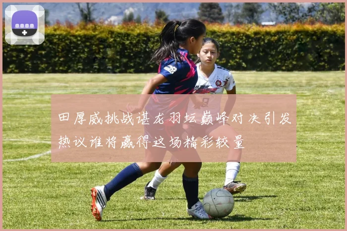 田厚威挑战谌龙羽坛巅峰对决引发热议谁将赢得这场精彩较量