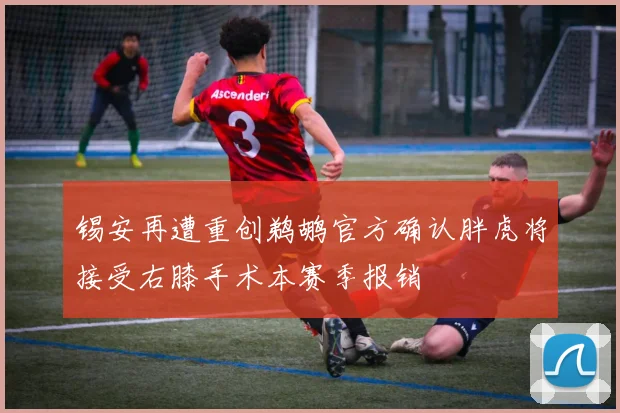 锡安再遭重创鹈鹕官方确认胖虎将接受右膝手术本赛季报销